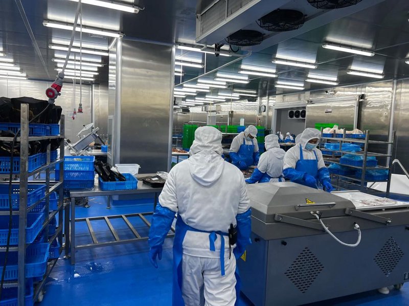 上海招聘信息：把握机遇的号角